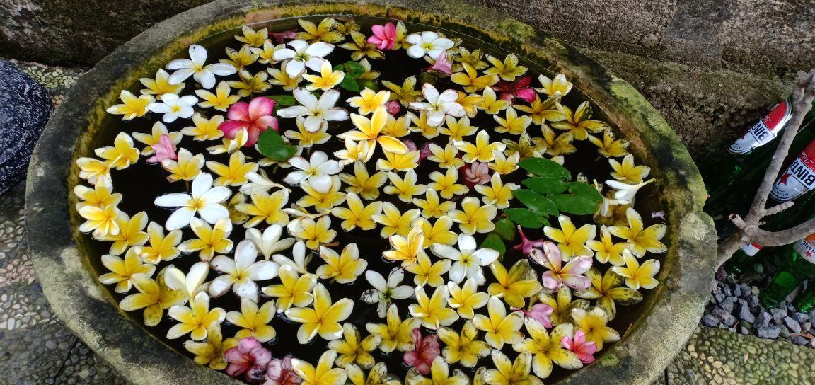 Kuwera Homestay Batununggul Ngoại thất bức ảnh