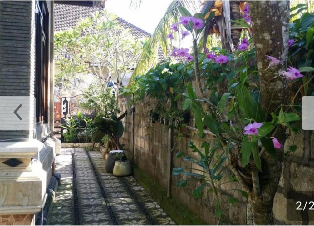 Kuwera Homestay Batununggul Ngoại thất bức ảnh